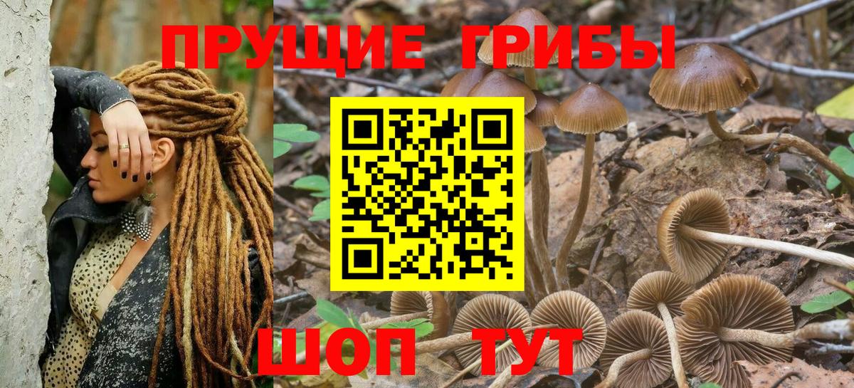 Заволжье  Галлюциногенные грибы ЛСД  Галлюциногенные грибы прущие грибы  Вход с VPN 